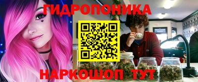 хмурый Абакан