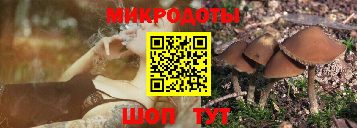 Галлюциногенные грибы Psilocybe  Вход с VPN  Алушта 